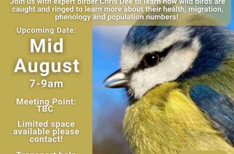Environment Group – Bird Ringing