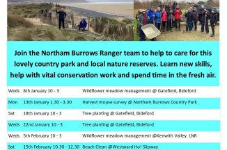 Volunteer with the Rangers – Tree Planting