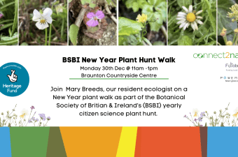 New Years Plant Hunt