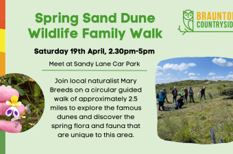 Spring Sand Dune Walk